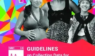 Guidelines on Collecting Data for SDG Indicator 5.6.1 on Women’s…